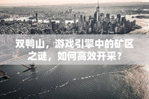 双鸭山，游戏引擎中的矿区之谜，如何高效开采？