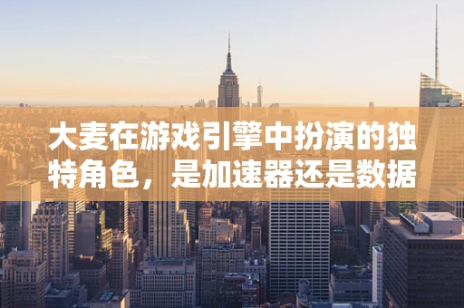 大麦在游戏引擎中扮演的独特角色，是加速器还是数据采集的利器？
