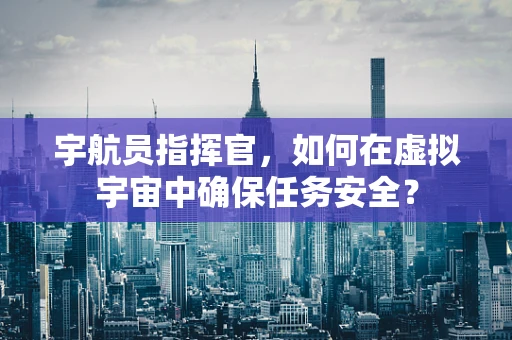 宇航员指挥官，如何在虚拟宇宙中确保任务安全？