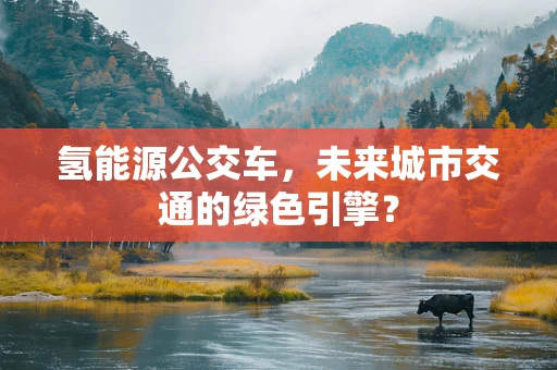氢能源公交车，未来城市交通的绿色引擎？