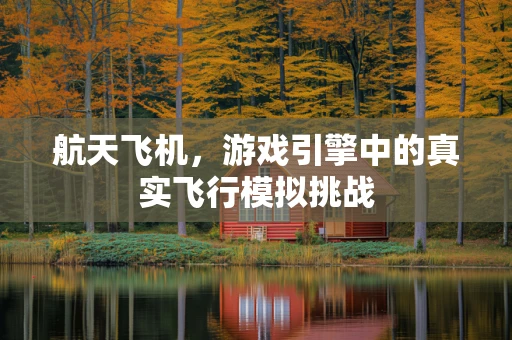 航天飞机，游戏引擎中的真实飞行模拟挑战