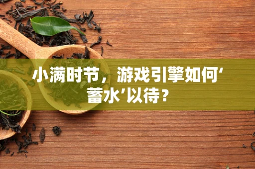 小满时节，游戏引擎如何‘蓄水’以待？