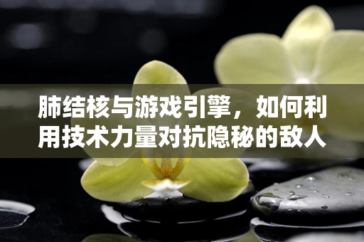 肺结核与游戏引擎，如何利用技术力量对抗隐秘的敌人？
