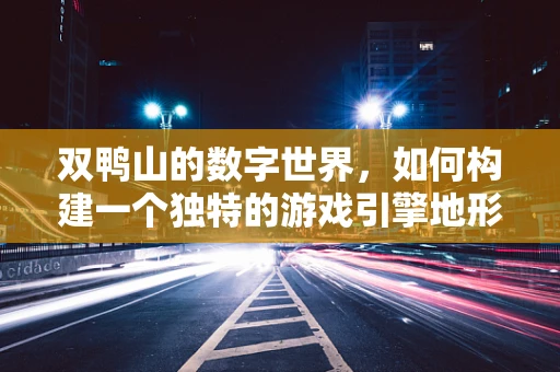 双鸭山的数字世界，如何构建一个独特的游戏引擎地形？