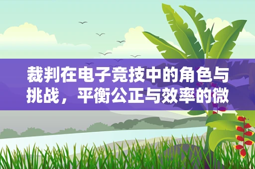 裁判在电子竞技中的角色与挑战，平衡公正与效率的微妙艺术