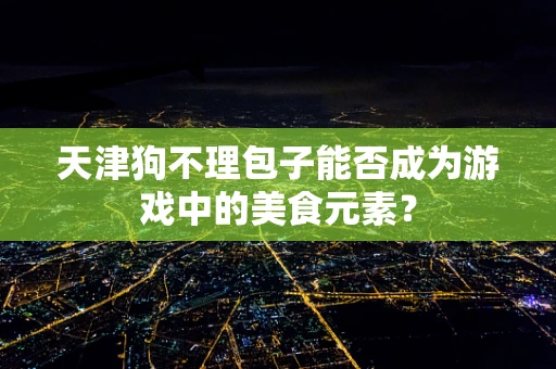 天津狗不理包子能否成为游戏中的美食元素？
