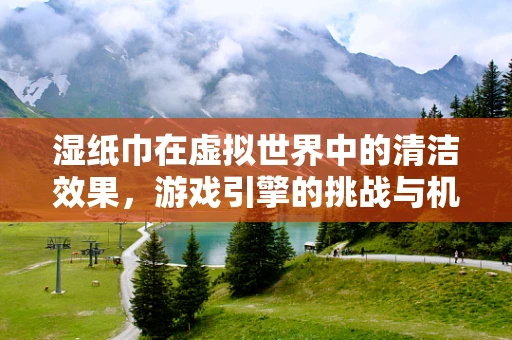 湿纸巾在虚拟世界中的清洁效果，游戏引擎的挑战与机遇
