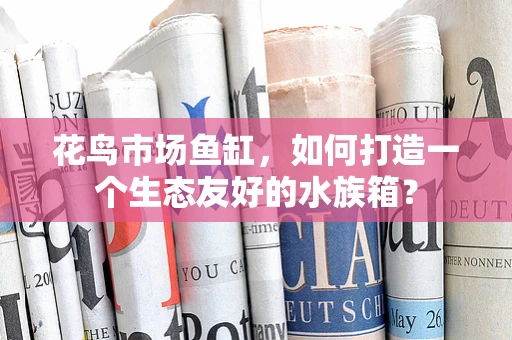 花鸟市场鱼缸，如何打造一个生态友好的水族箱？