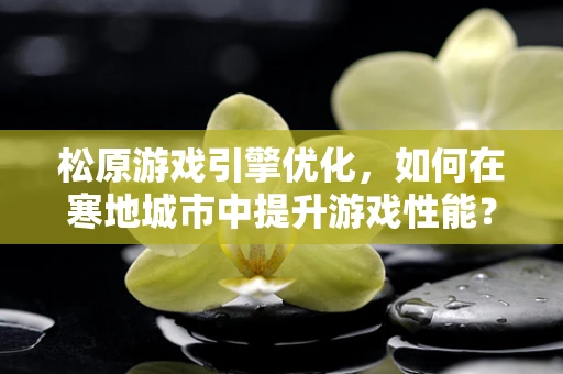 松原游戏引擎优化，如何在寒地城市中提升游戏性能？