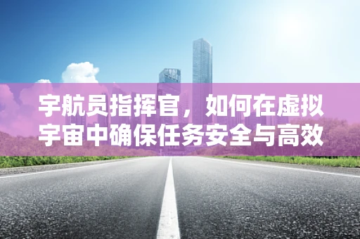 宇航员指挥官，如何在虚拟宇宙中确保任务安全与高效？