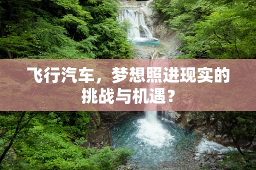 飞行汽车，梦想照进现实的挑战与机遇？
