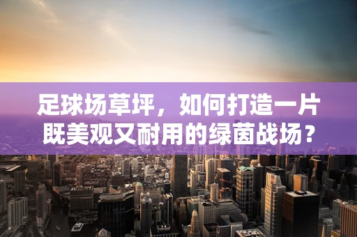 足球场草坪，如何打造一片既美观又耐用的绿茵战场？