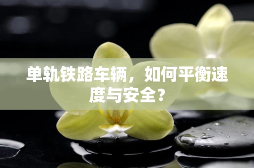 单轨铁路车辆，如何平衡速度与安全？