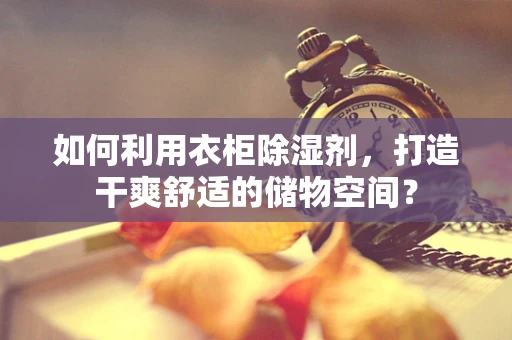 如何利用衣柜除湿剂，打造干爽舒适的储物空间？