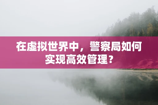 在虚拟世界中，警察局如何实现高效管理？