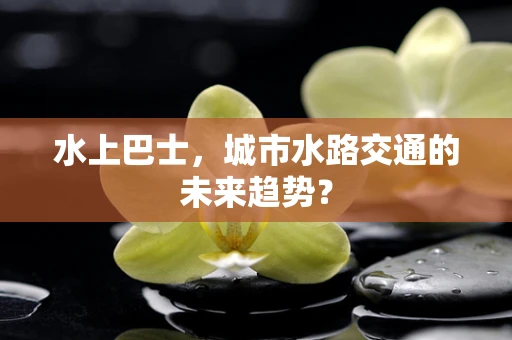 水上巴士，城市水路交通的未来趋势？