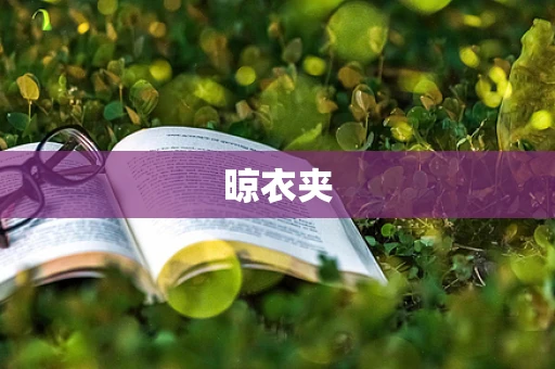 晾衣夹
