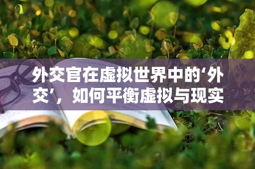 外交官在虚拟世界中的‘外交’，如何平衡虚拟与现实的界限？