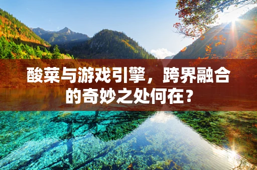 酸菜与游戏引擎，跨界融合的奇妙之处何在？