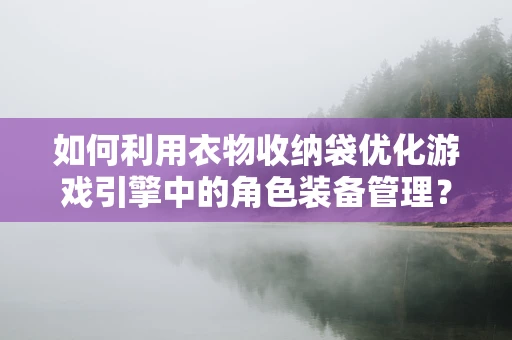 如何利用衣物收纳袋优化游戏引擎中的角色装备管理？