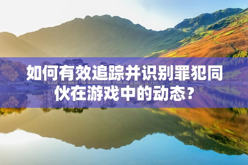 如何有效追踪并识别罪犯同伙在游戏中的动态？