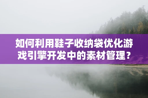 如何利用鞋子收纳袋优化游戏引擎开发中的素材管理？