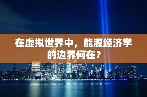 在虚拟世界中，能源经济学的边界何在？