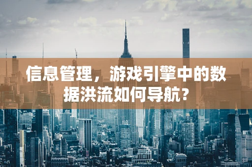 信息管理，游戏引擎中的数据洪流如何导航？